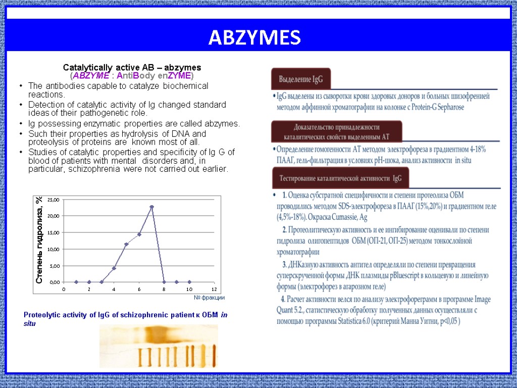ABZYMES Catalytically active AB – abzymes (АВZYME : AntiBody enZYME) The antibodies capable to